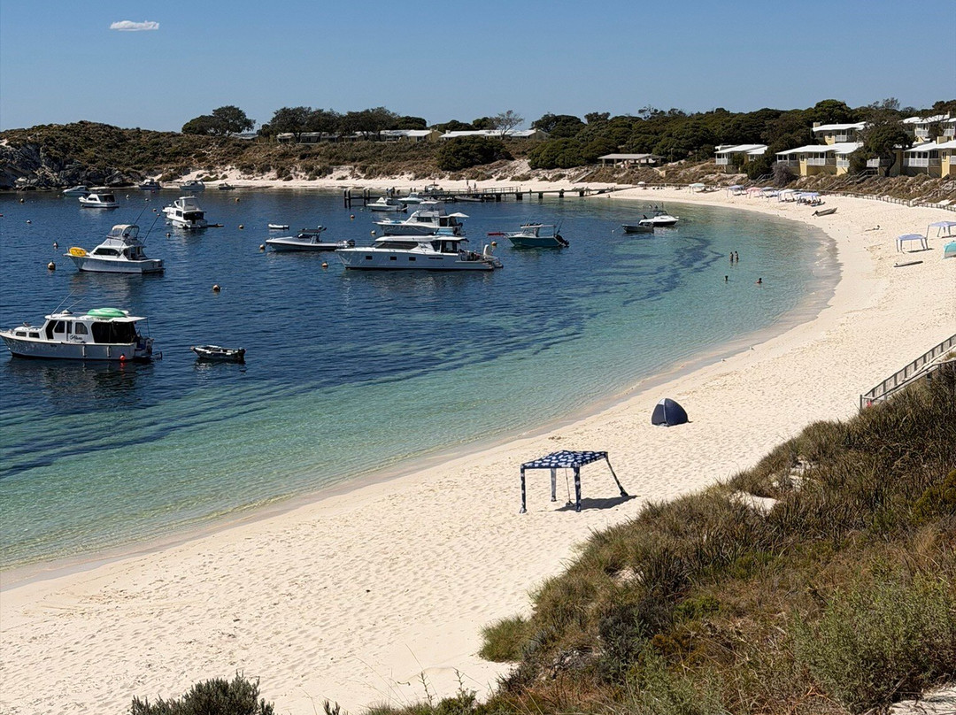 Rottnest Island Pedal and Flipper-罗特尼斯岛必去景点