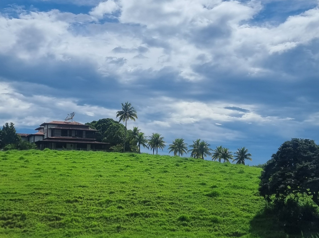 Jagau Tour-阿拉伊阿尔港必去景点