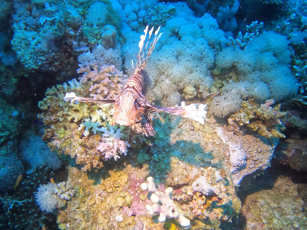 Extra Divers Dahab-达哈卜必去景点