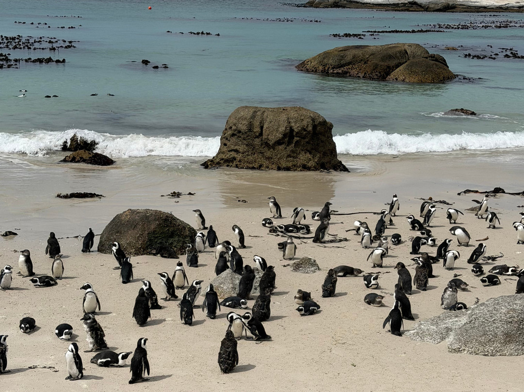 Aunty Nita's Tours-Grassy Park必去景点