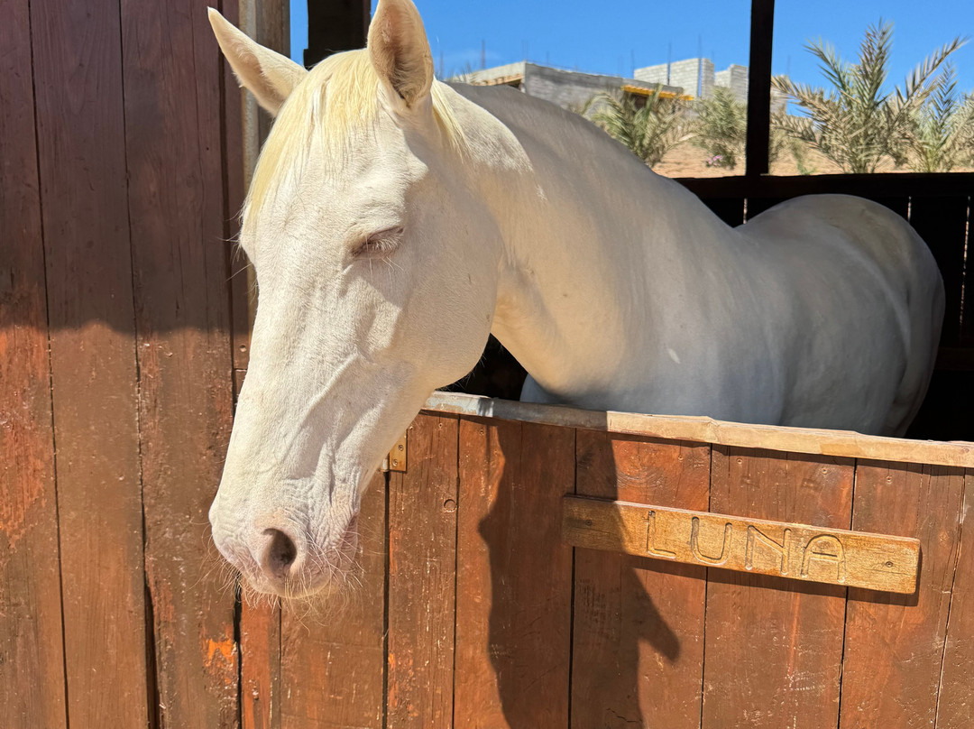Viveiro, Botanical Garden & Zoo di Terra-圣塔玛丽亚必去景点