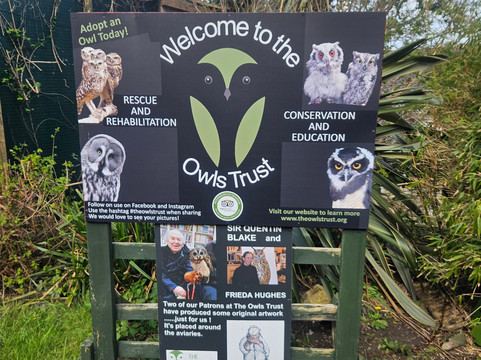 The Owls Trust-兰迪德诺必去景点