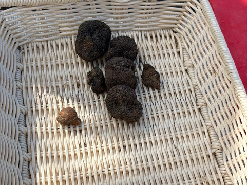 Natural History Museum of Meteora & Mushroom Museum-卡兰巴卡必去景点