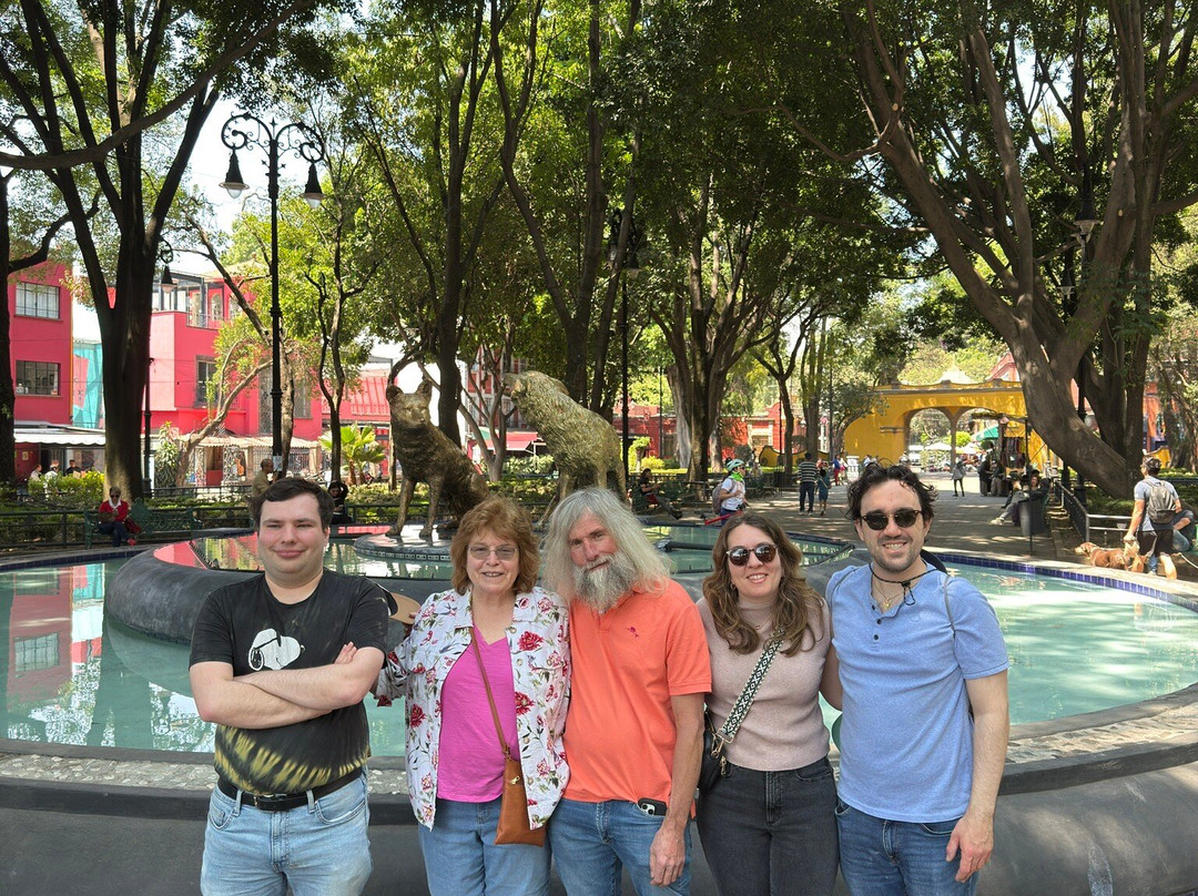 Local Vibes Mexico-墨西哥城必去景点