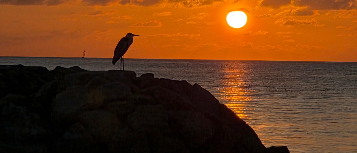 阿瓦尼+安凡尼马尔代夫度假村-泳池