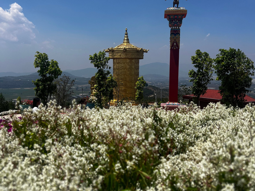 Samten Hills Dalat-Tu Tra必去景点