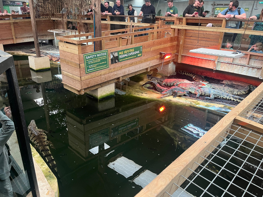 Crocodiles of the World-Brize Norton必去景点