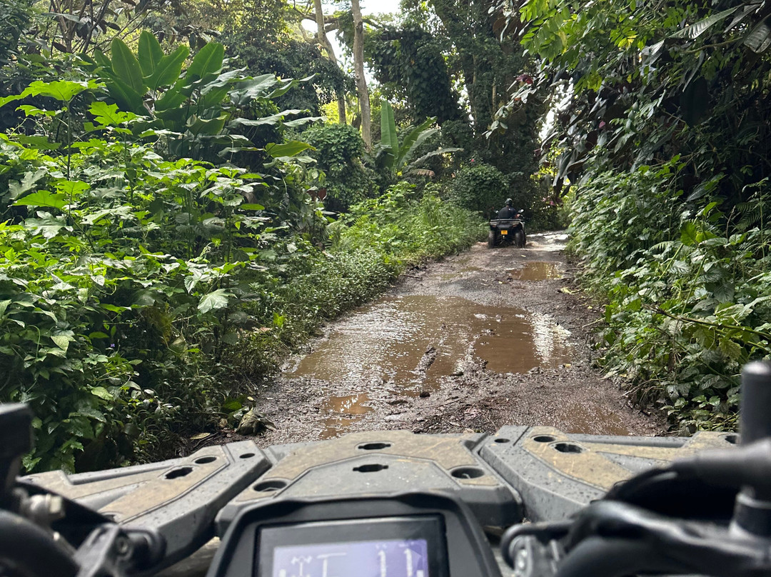 Fenua Aventures-法阿必去景点