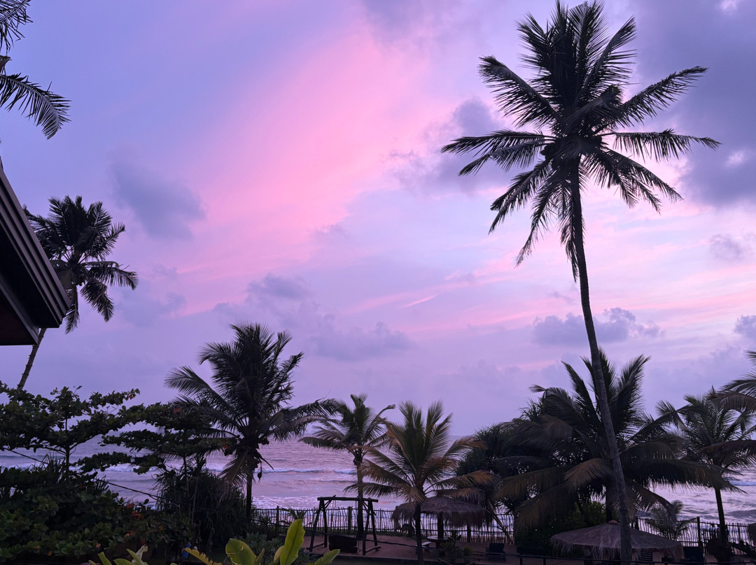 TAKE ME LANKA TRAVELS & TOURS-康提必去景点