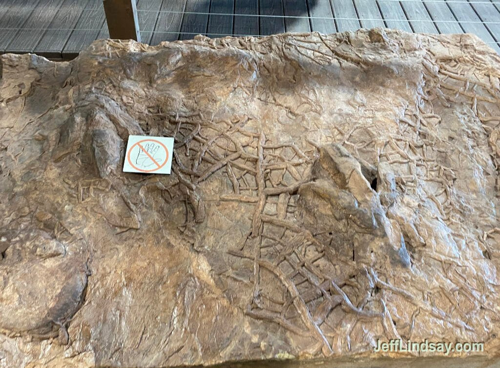 St. George Dinosaur Discovery Site at Johnson Farm-圣乔治必去景点