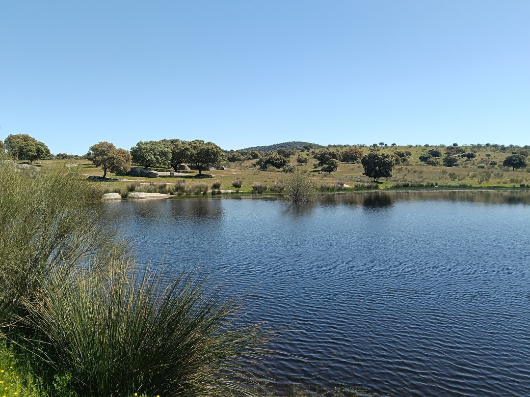 Gastro Dehesa-梅里达必去景点