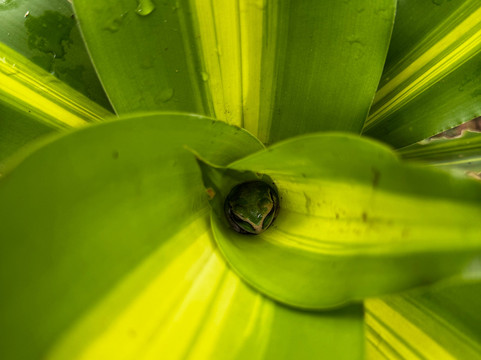 NexusTours-圣何塞必去景点