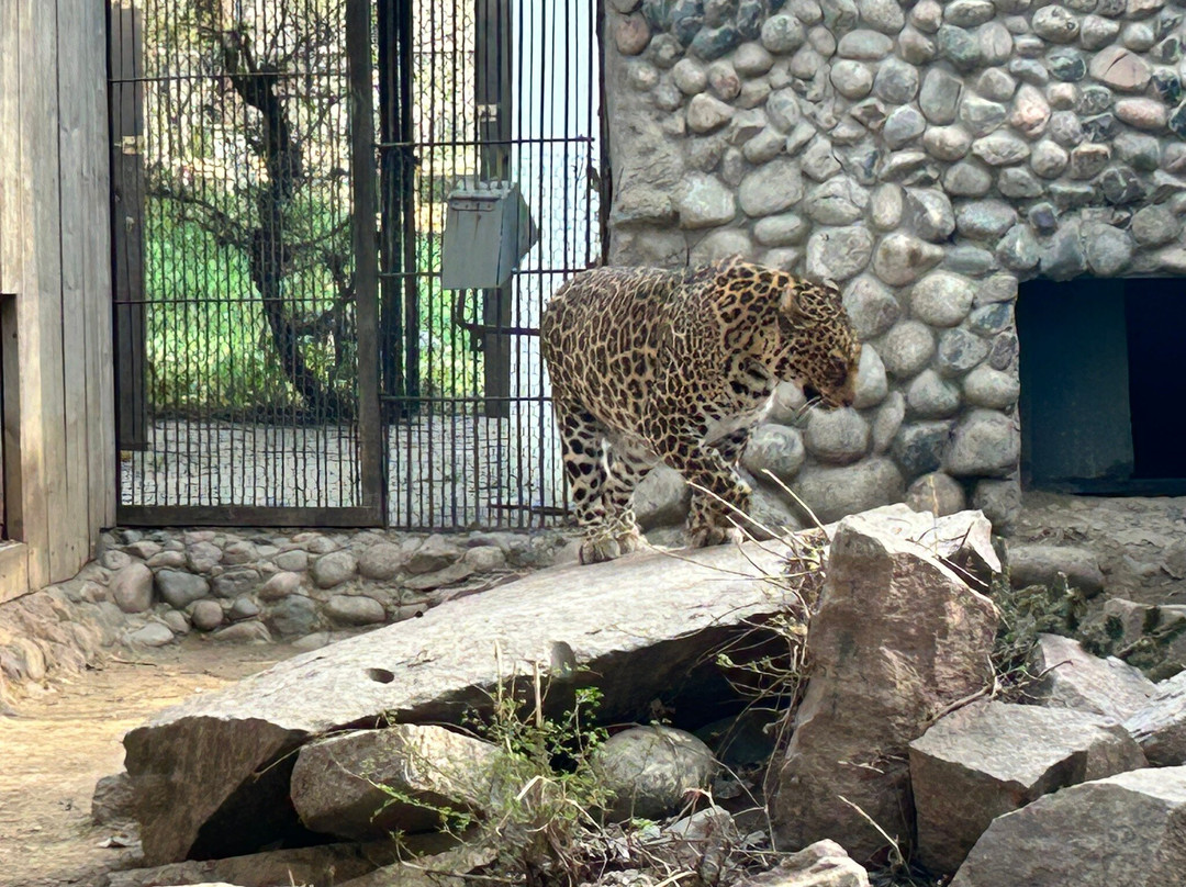 Almaty Zoo-阿拉木图必去景点