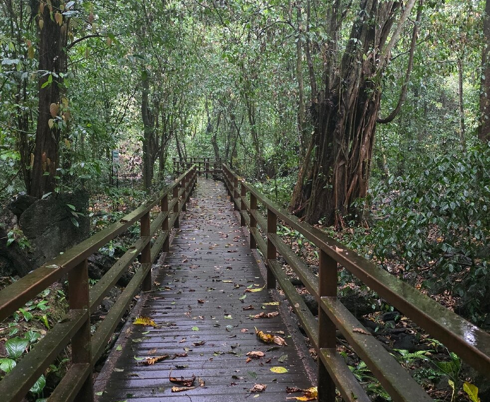 Gomantong Cave Sandakan-山打根必去景点