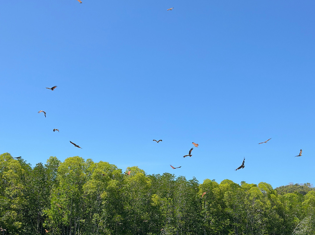 Russian Guide in Langkawi-兰卡威必去景点