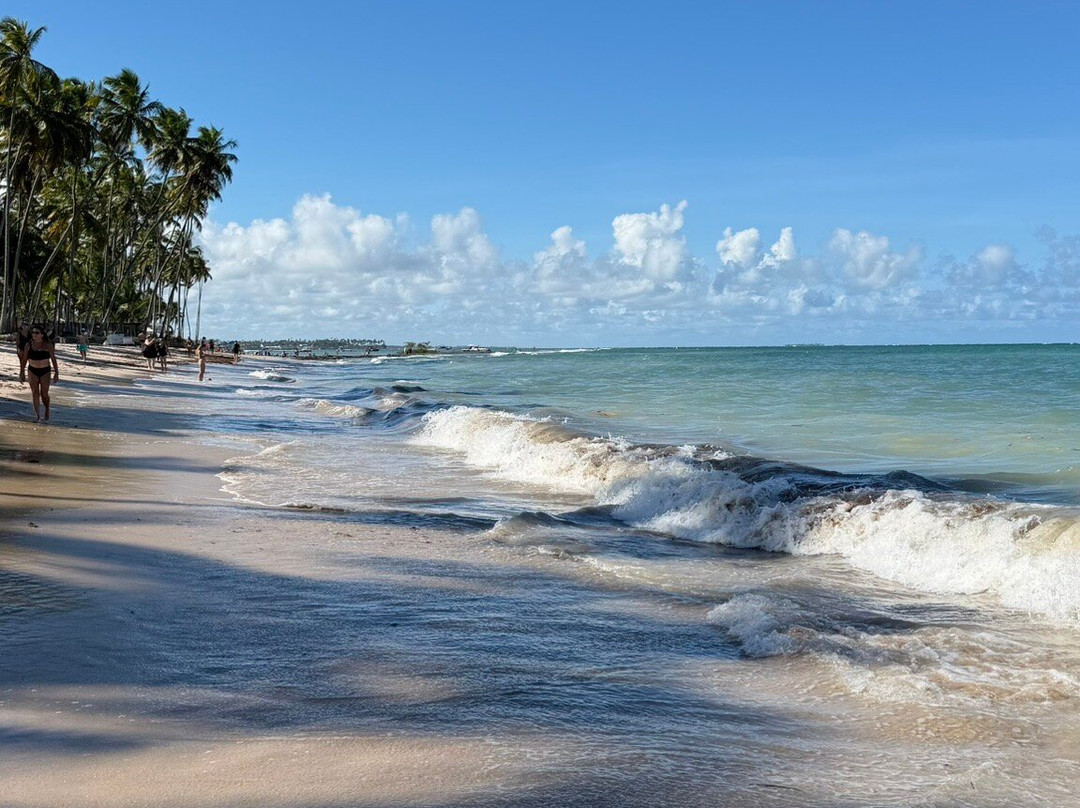 Briza Beach Club Carneiros-Tamandare必去景点