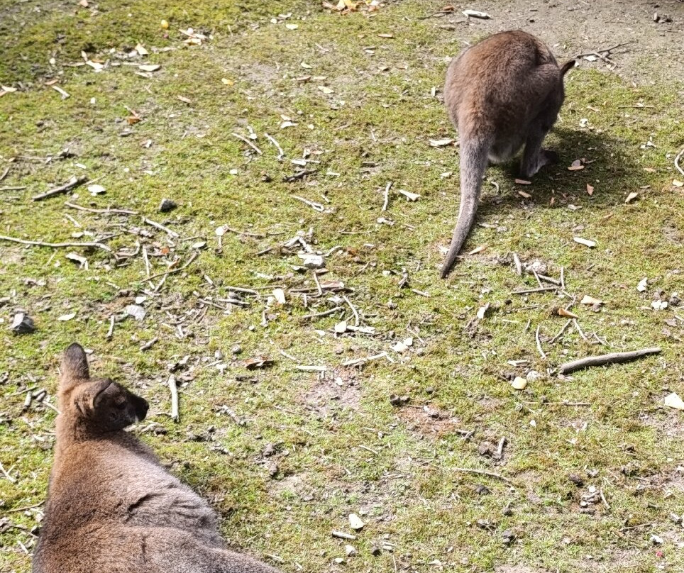 Parc de Port Breton-迪纳尔必去景点