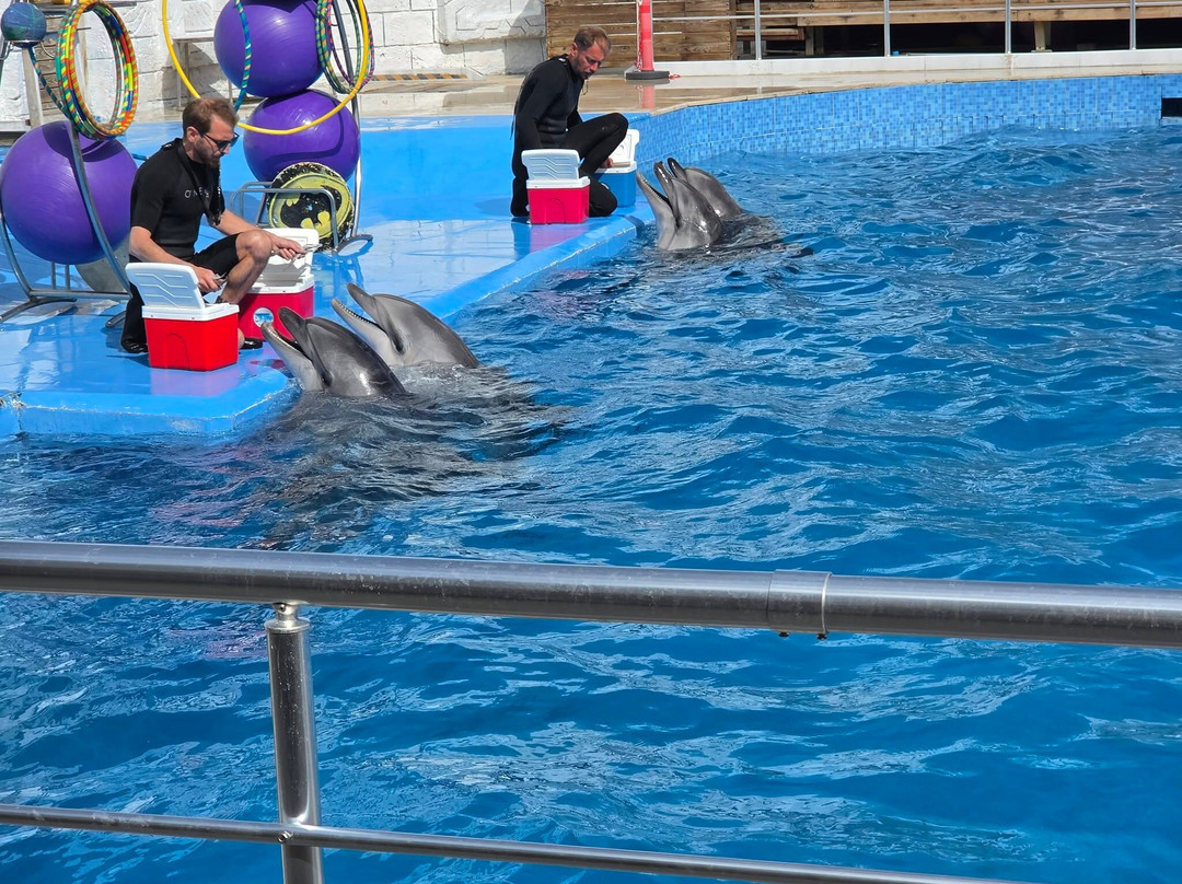 Aksu Dolphinarium-安塔利亚必去景点