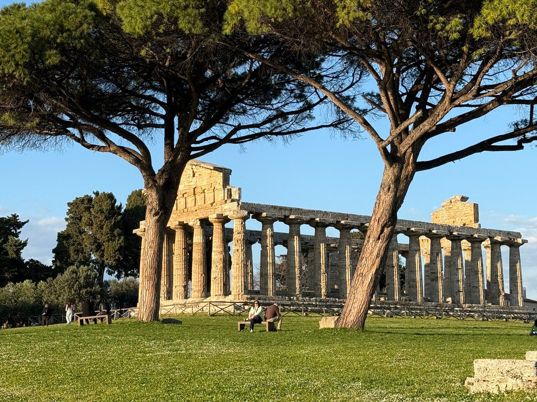 Parco Archeologico di Paestum e Velia-Paestum必去景点