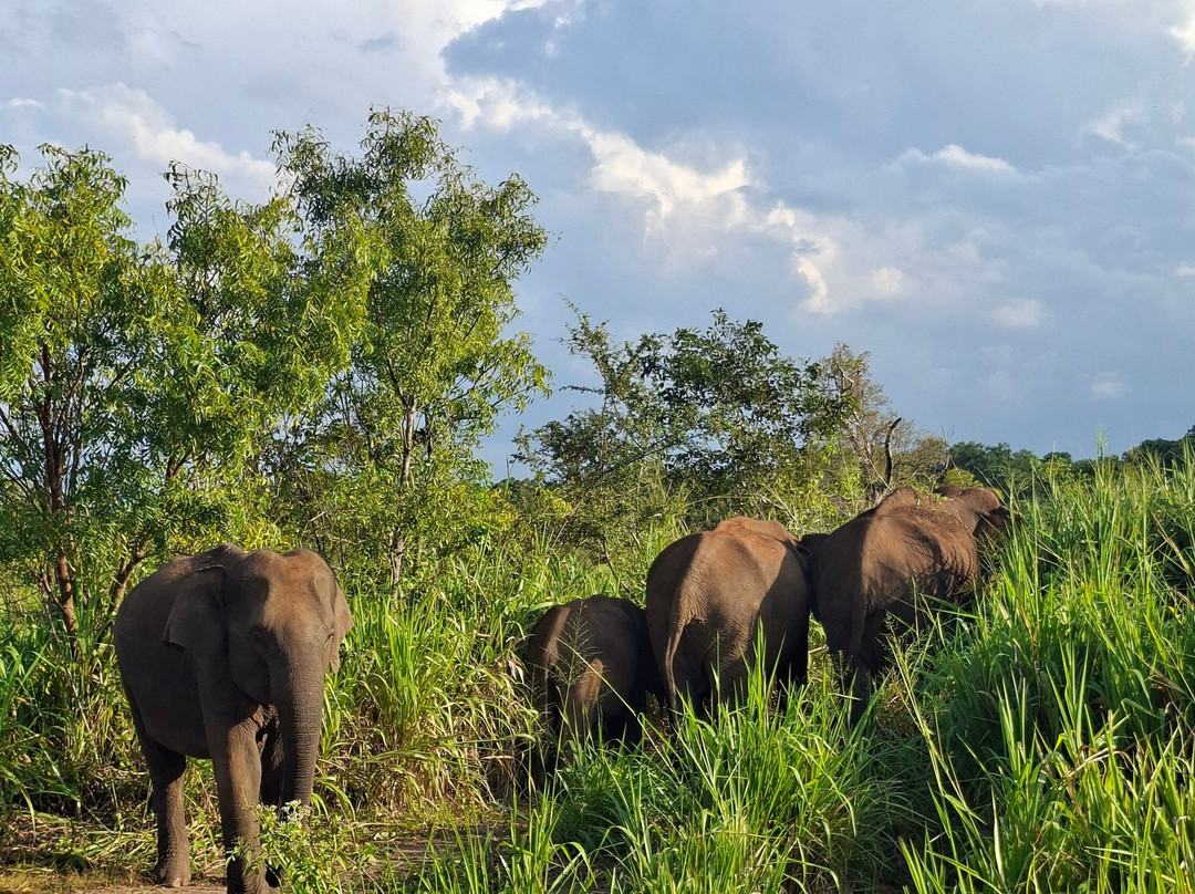 PS Tours Pasikuda-卡尔库达必去景点