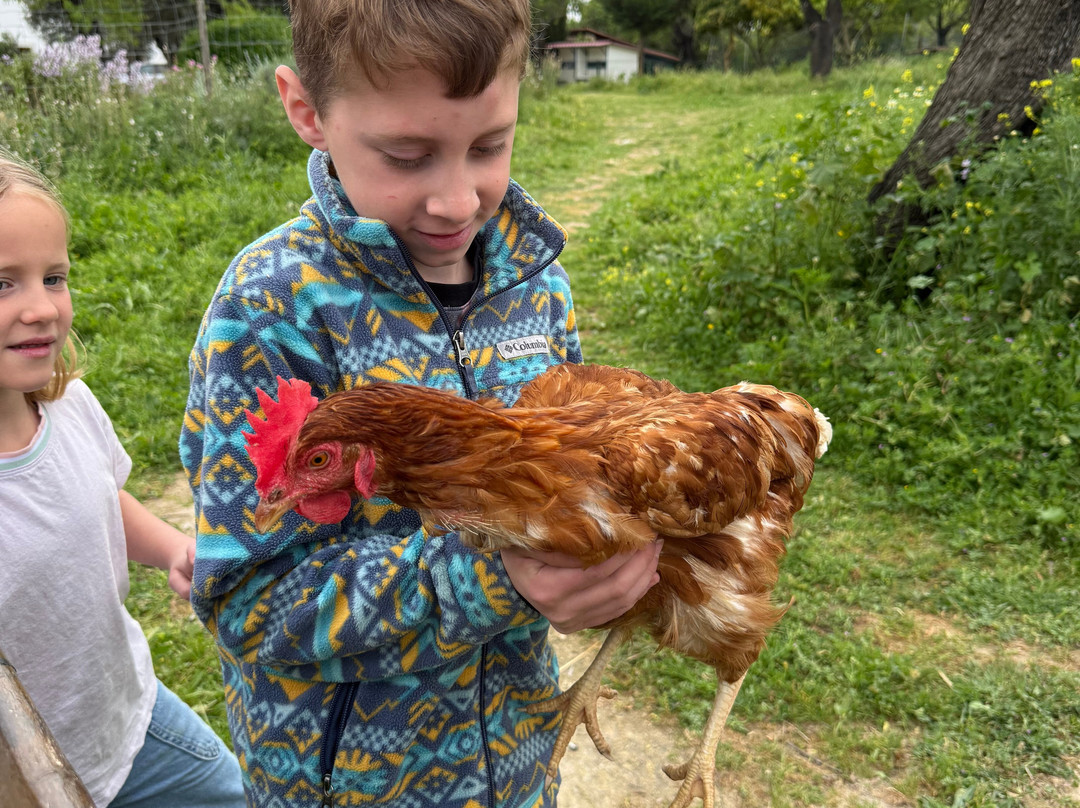 Happy-Donkeys Algarve-Monchique必去景点