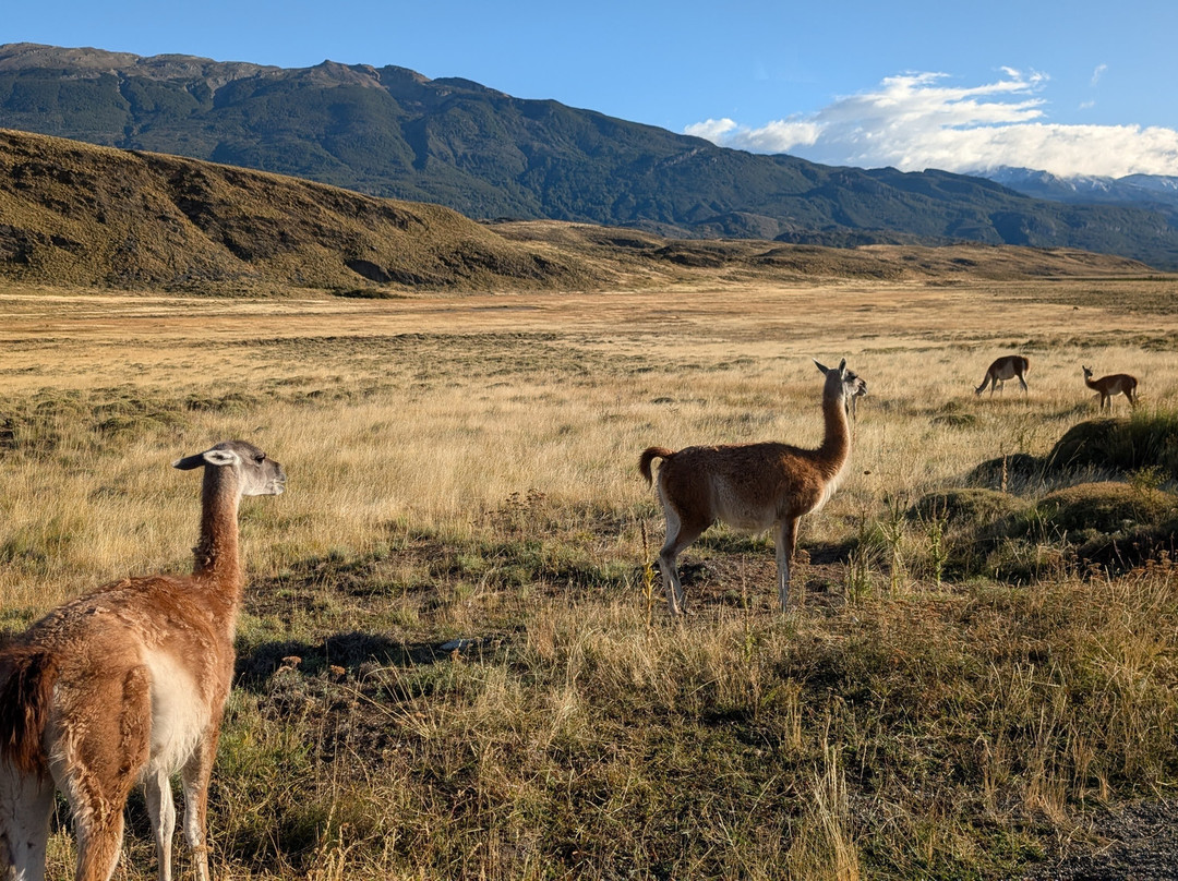 INTERNATURA FRCR-Santo Domingo de Heredia必去景点
