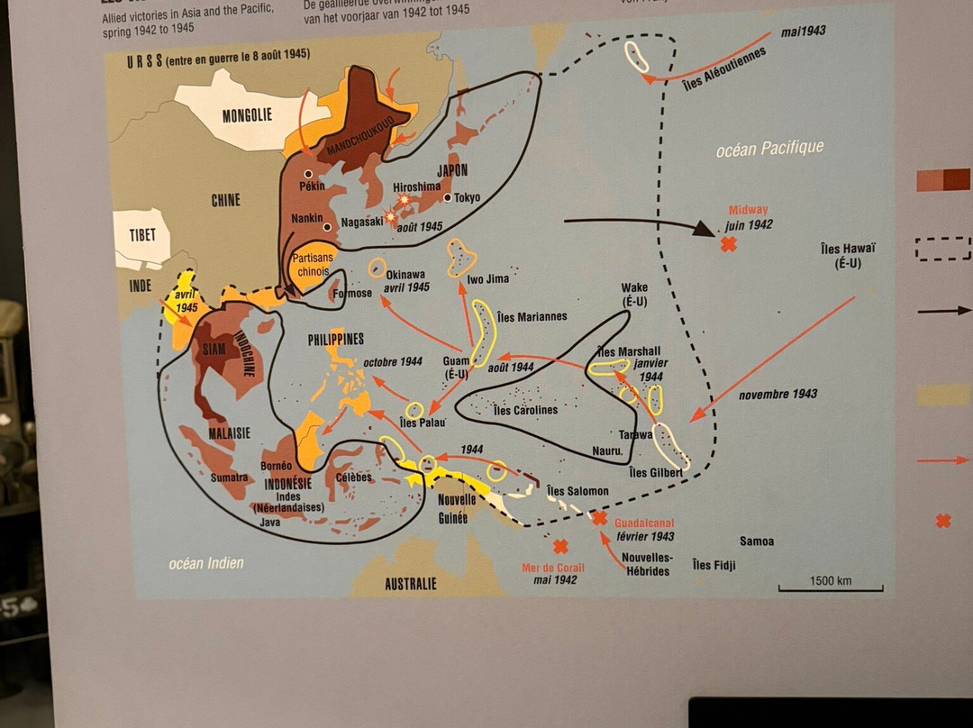 Bastogne War Museum-巴斯东必去景点