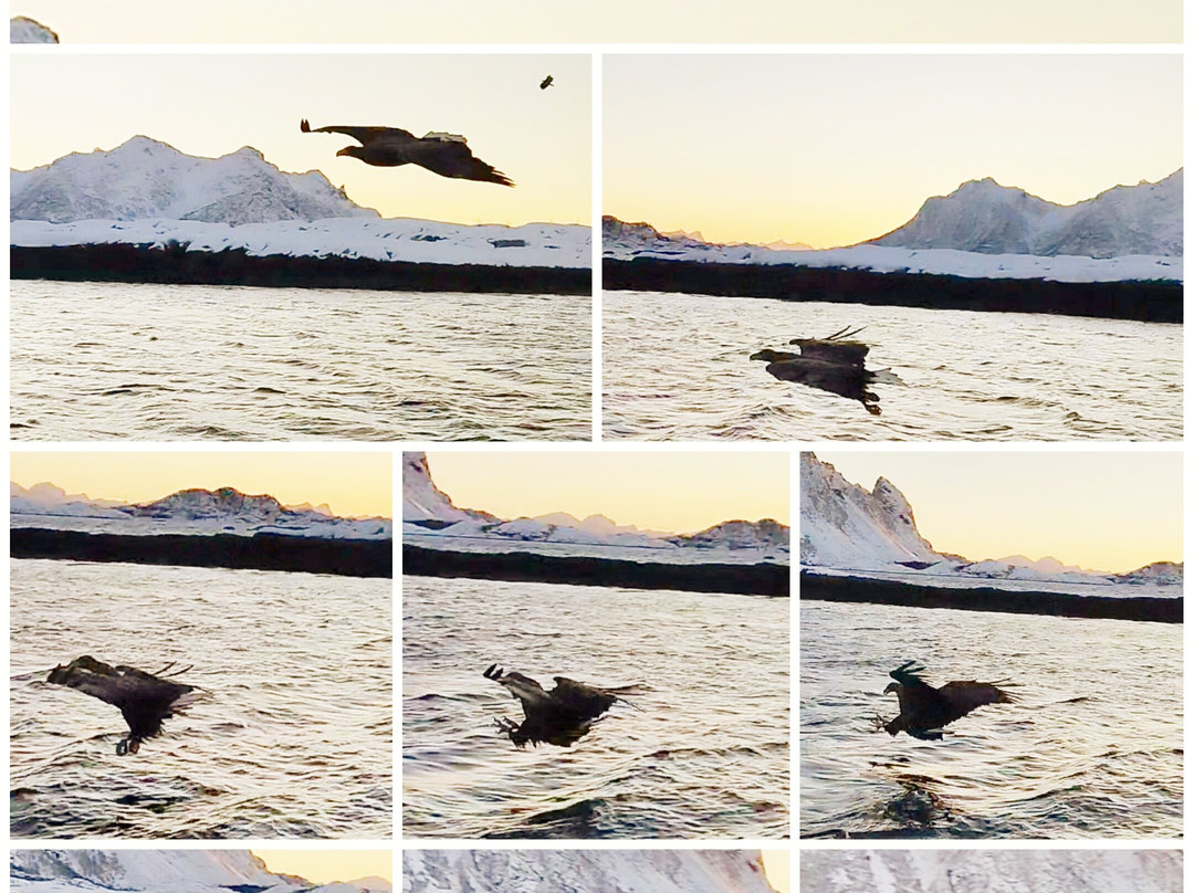 Go2Lofoten-斯沃尔韦尔必去景点