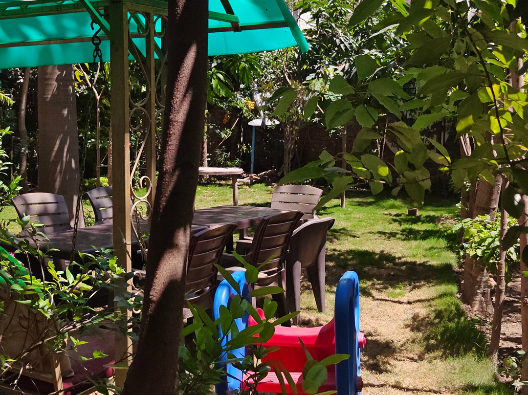 Maa Yoga Ashram-Tapovan必去景点