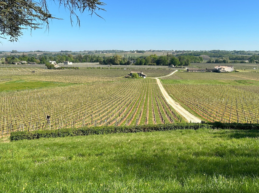 Chateau Haut Sarpe-Saint-Christophe-Des-Bardes必去景点