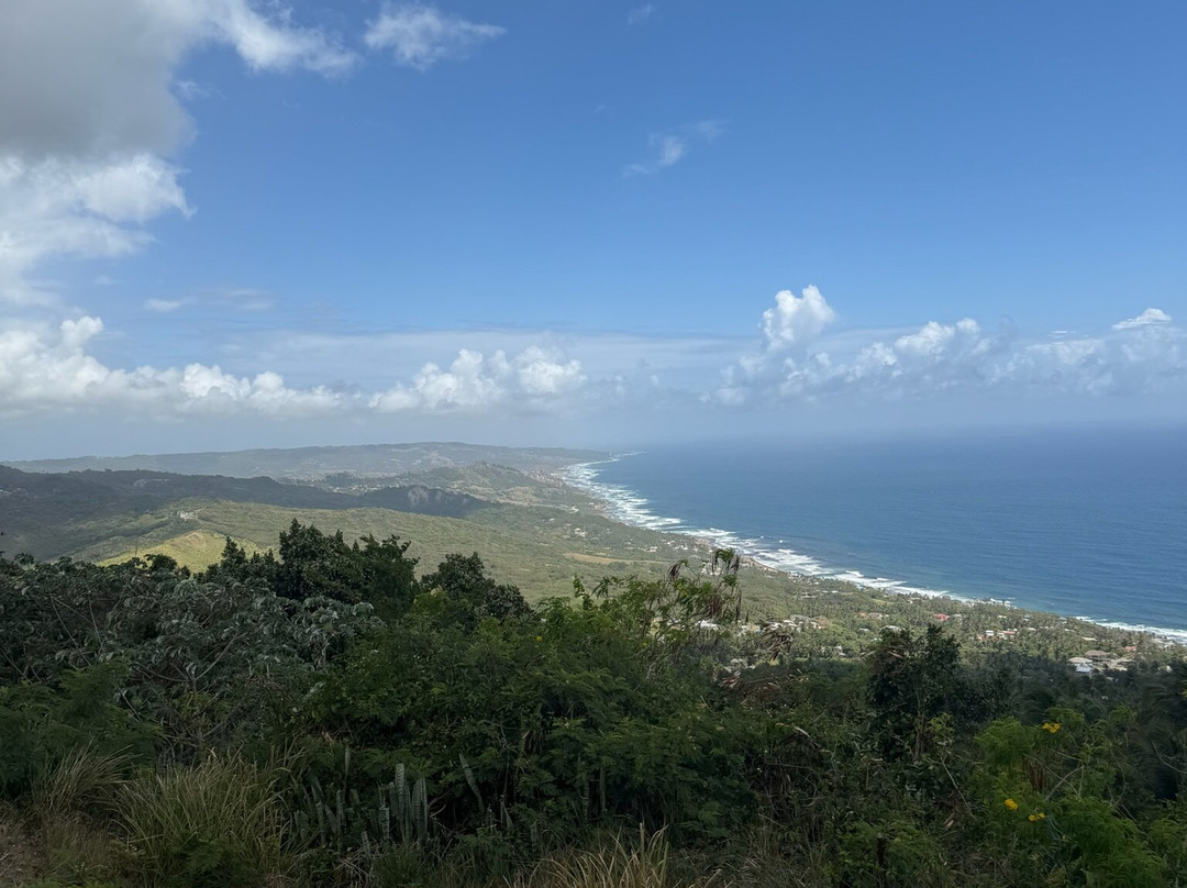 Island Safari Barbados-Saint Michael Parish必去景点