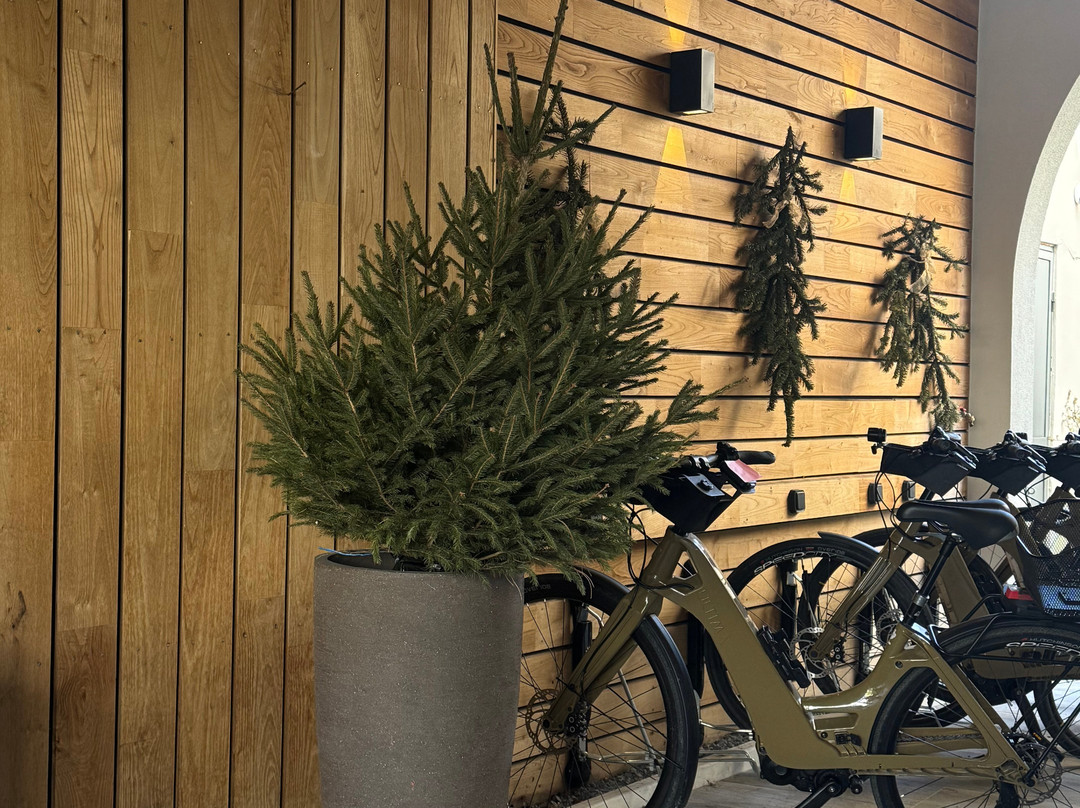 阿勒利酒店主图