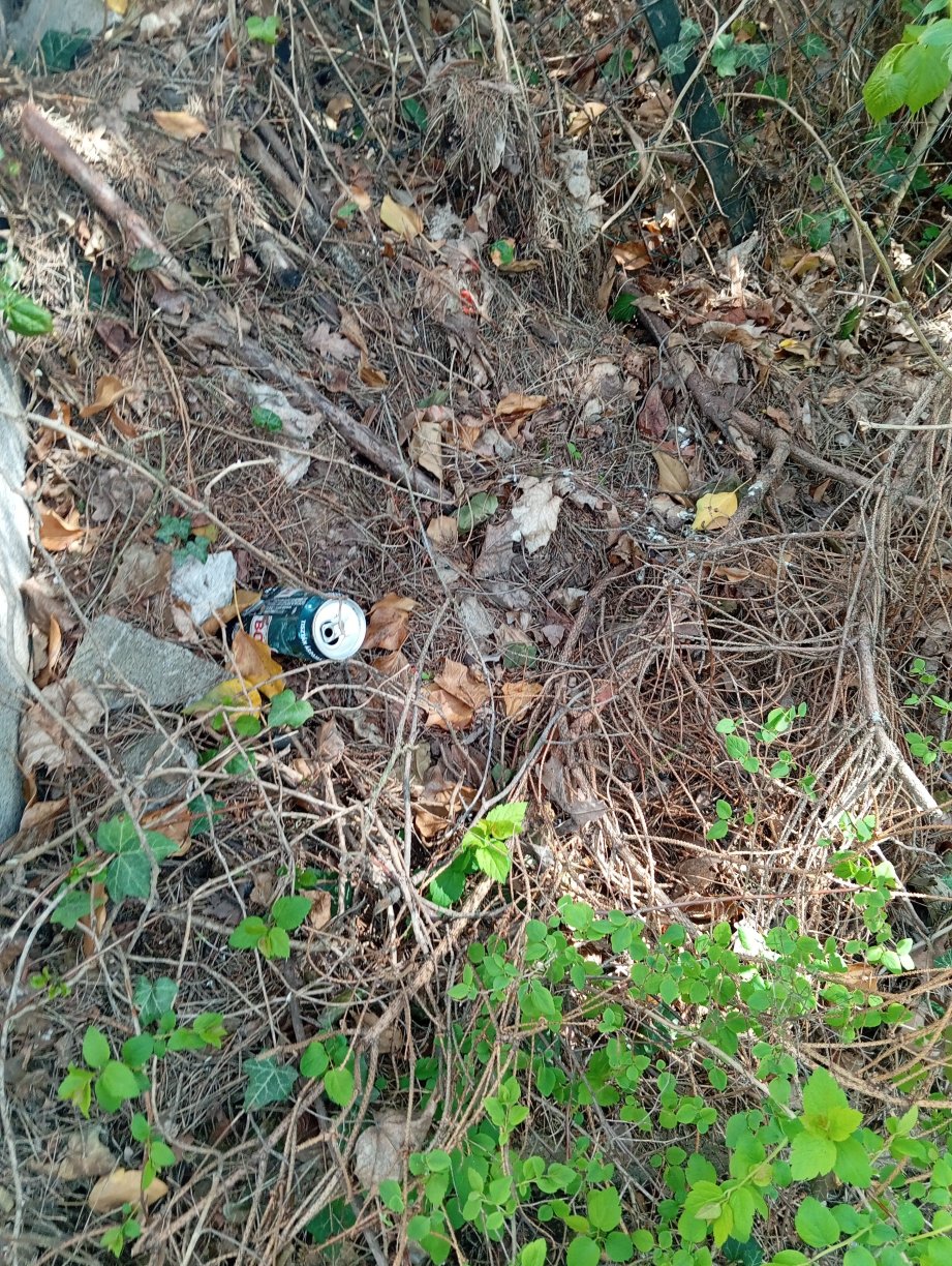 伊丽莎白公园酒店-旅行者