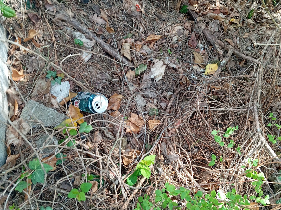 伊丽莎白公园酒店主图