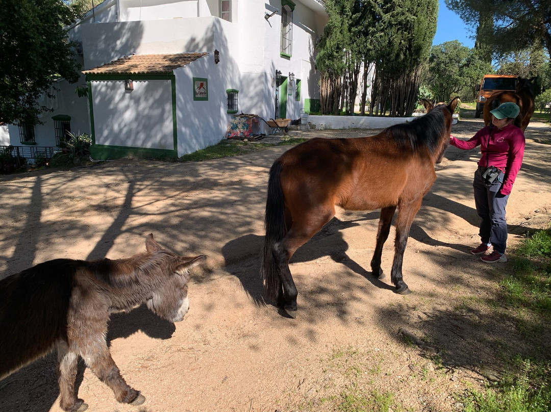 La Caracola Hotel Rural主图
