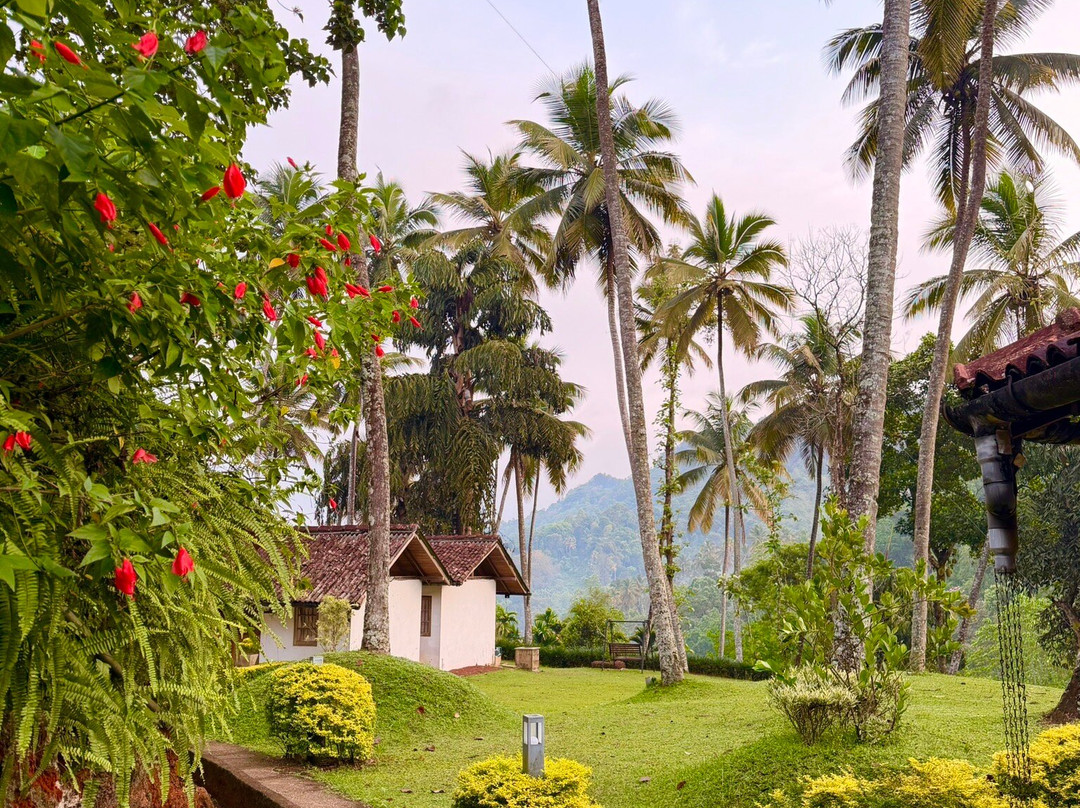 Amusing Lanka Tours-科斯戈德必去景点