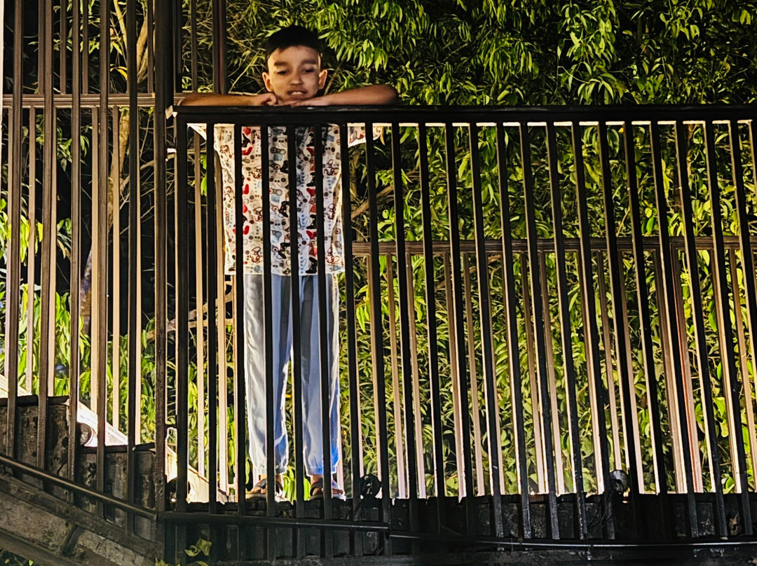 Bhawal Resort & Spa主图
