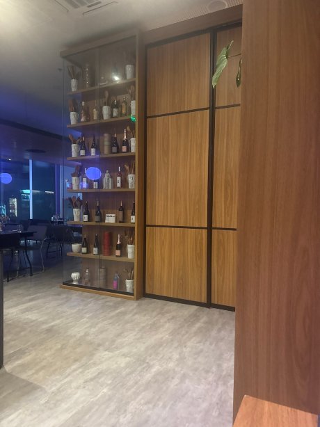 诺富特 BH 萨瓦西酒店-旅行者