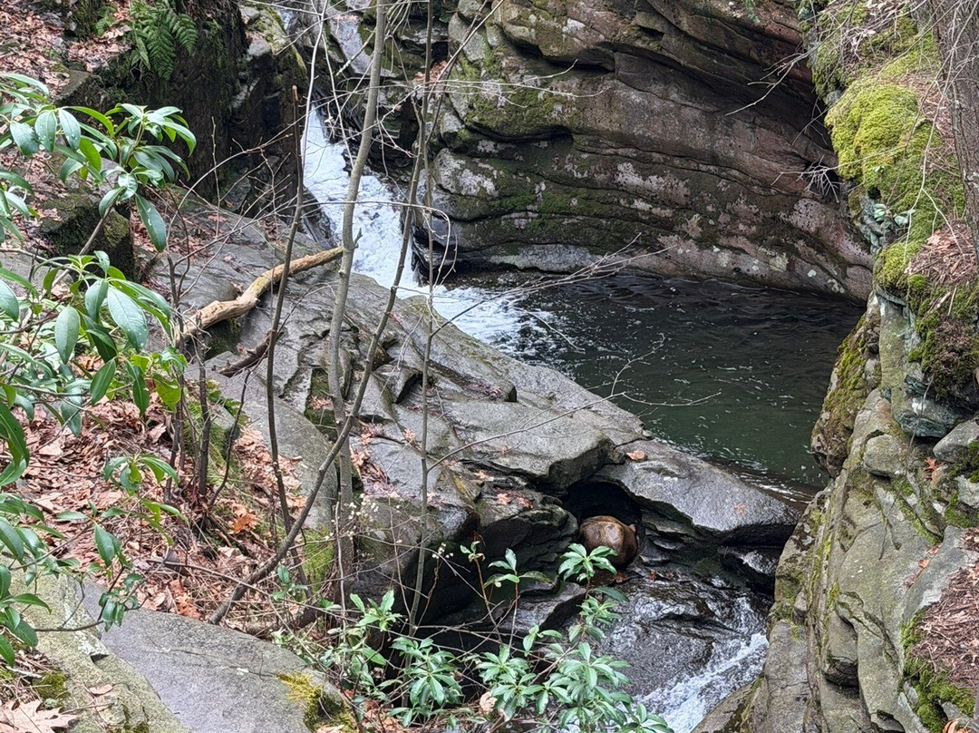 Seven Tubs Recreation Area-威尔克斯-巴里必去景点