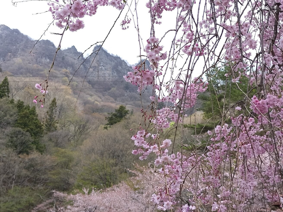 Myogi Park-下仁田町必去景点
