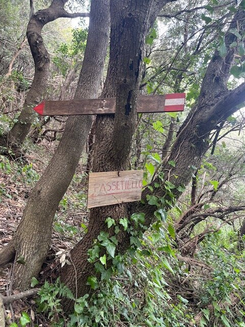 Sentiero Del Passetiello Capri-卡普里岛必去景点