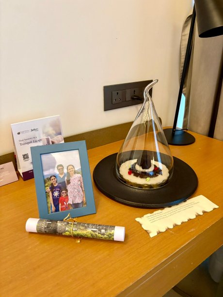 罗纳瓦拉丽笙水疗度假村-旅行者