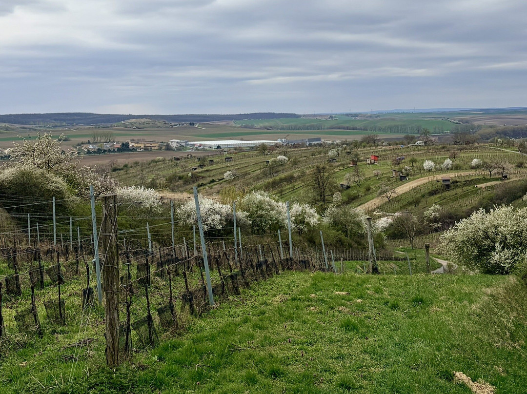 Penzion Sarlota