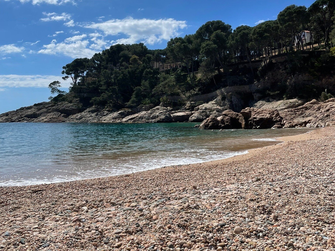 Tamariu Beach-Tamariu必去景点