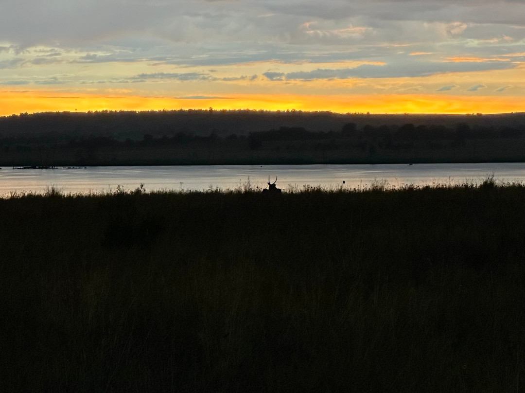 Dlamini 4 Africa Tours & Safaris-比勒陀利亚必去景点