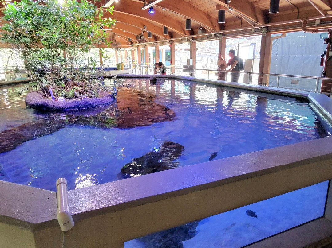 Gumbo Limbo Nature Center-博卡拉顿必去景点