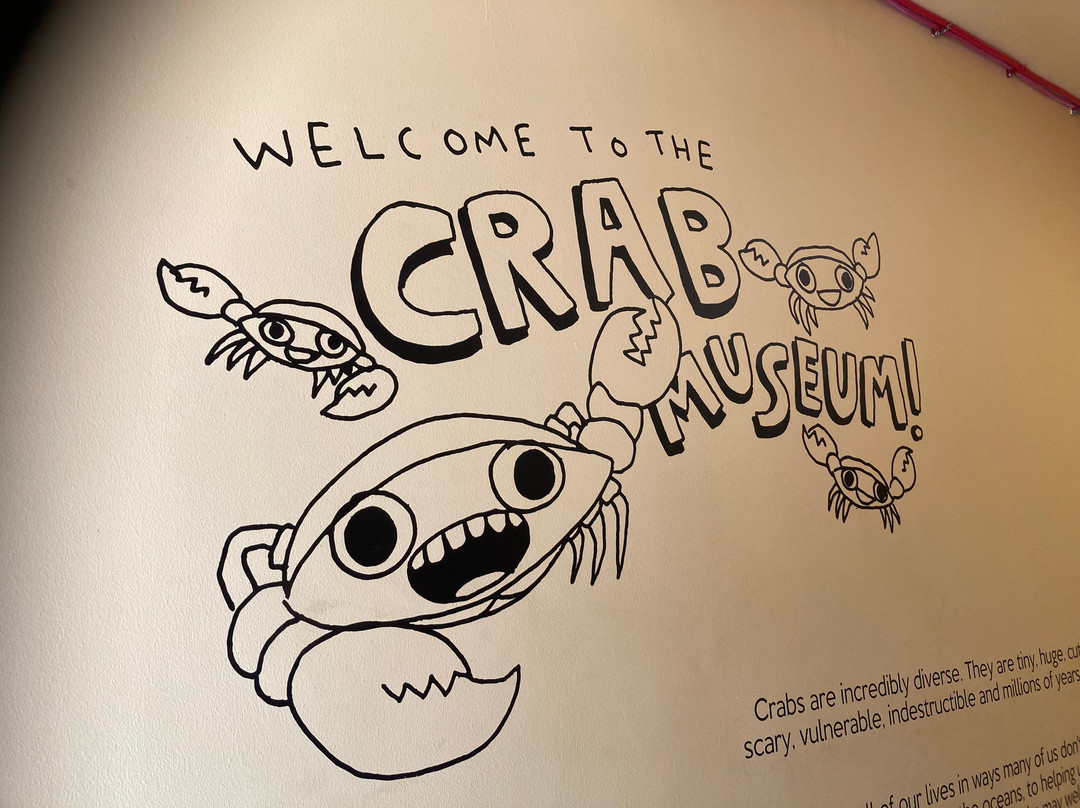 Crab Museum-Margate必去景点