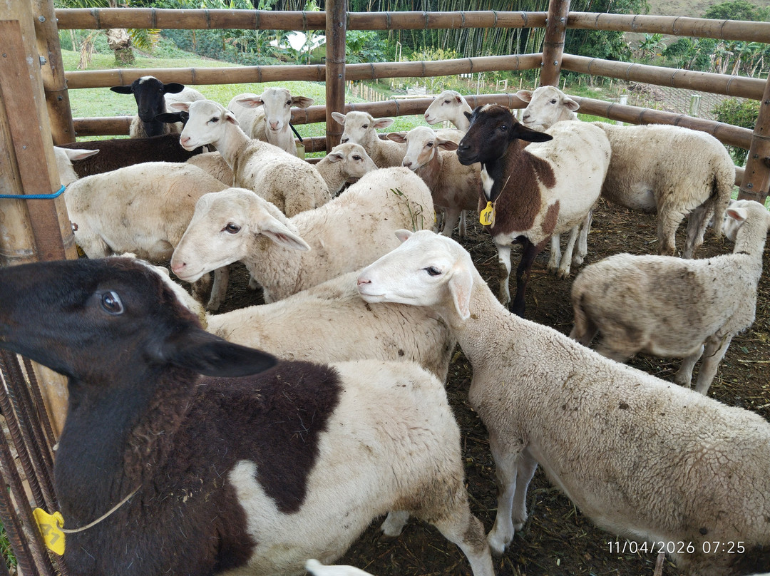 La Huerta Hotel主图