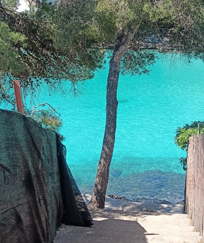 Cala Esmeralda Beach-卡拉多尔必去景点