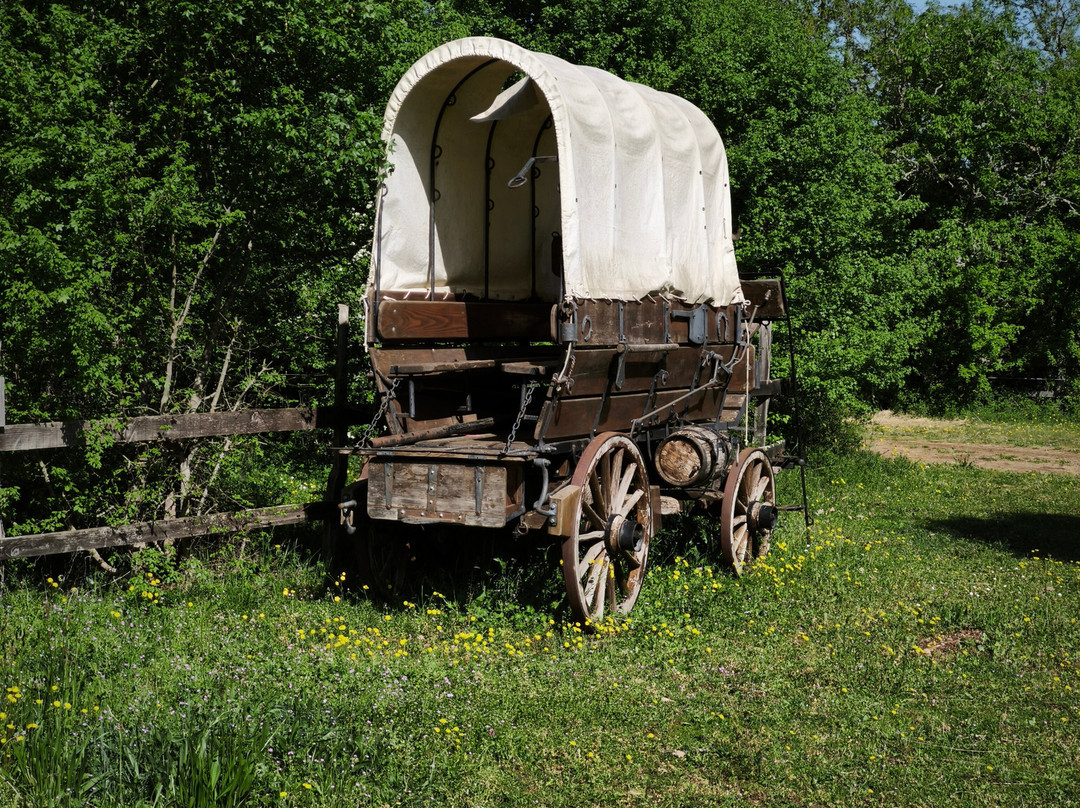 Westone Family's Ranch